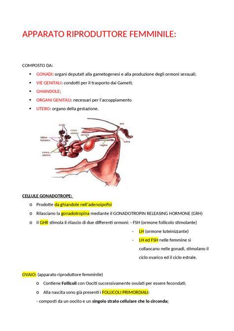 Diagramma anatomico dell'apparato riproduttivo femminile