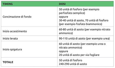 Confronto tra fertirrigazione e concimazione tradizionale