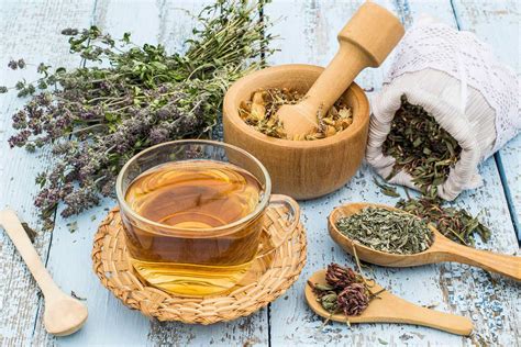 Piante medicinali utilizzate in fitoterapia