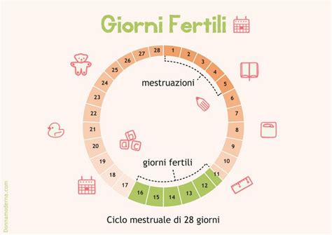 Diagramma del ciclo mestruale con i giorni fertili evidenziati