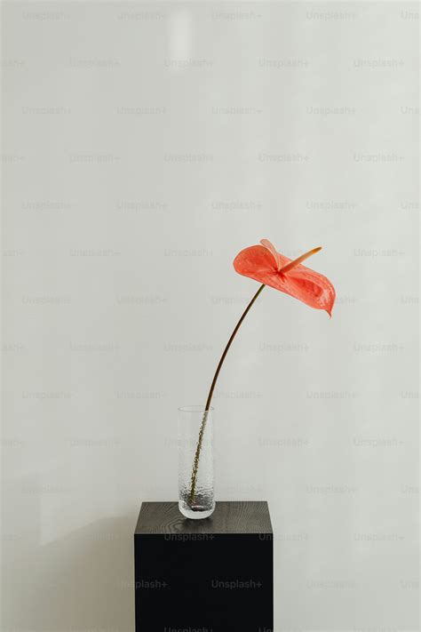 Un thermos portapappa Suavinex appoggiato su un tavolo moderno in un contesto di preparazione pasti per bambini