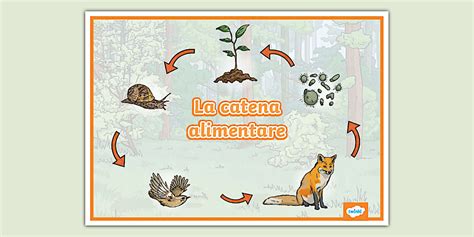 Illustrazione di una catena di approvvigionamento alimentare sicura