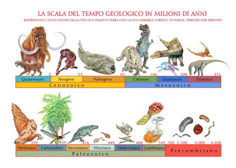 Evoluzione delle forme di culle
