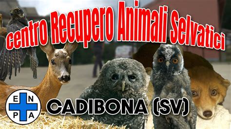 Logo Centro Recupero Animali Selvatici (CRAS)