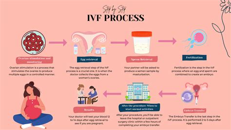 Procedure IVG in day hospital
