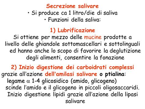Diagramma delle funzioni della saliva