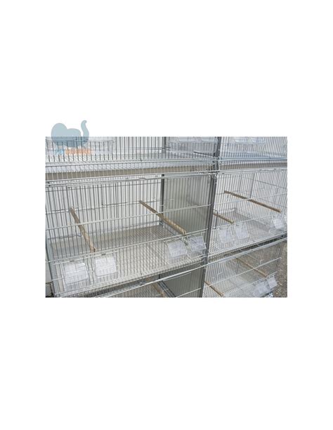 Accessori per allevamento uccelli