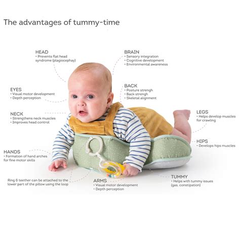 Tummy time per prevenzione plagiocefalia
