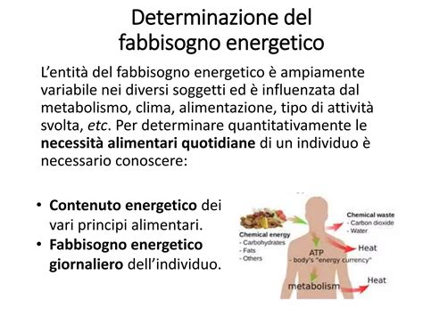 Grafico che mostra l'aumento del fabbisogno energetico nei bambini