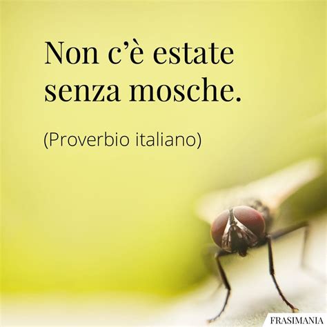 Metafore di vita dai proverbi italiani