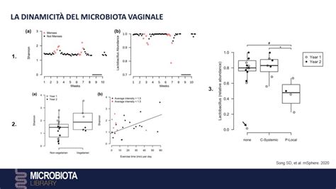 Rappresentazione grafica del microbioma vaginale sano con lattobacilli