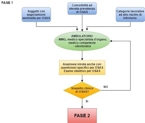 rappresentazione schematica di un percorso clinico per la diagnosi di poliabortività