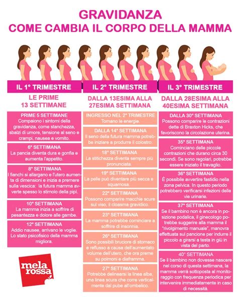 Tabella riassuntiva dei cambiamenti del corpo in gravidanza e necessità di abbigliamento