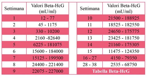 grafico dell'andamento dei livelli di beta hCG nelle prime settimane di gestazione