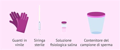 Schema dei componenti essenziali per l'inseminazione domestica