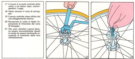 Schema illustrativo della manutenzione ruota posteriore bici bambino