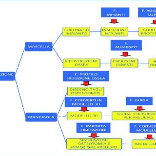 Diagramma della procedura di aborto chirurgico