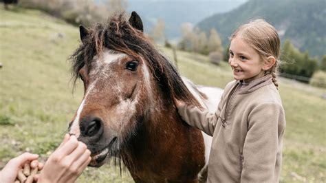 Un bambino di 6 anni che accarezza un pony in un maneggio