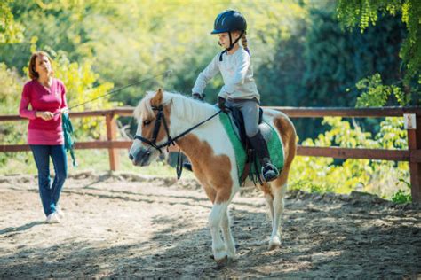 Bambino che spazzola un pony in scuderia (attività di grooming)