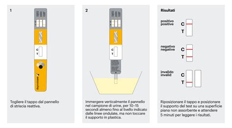 schema del funzionamento del test immunocromatografico capillare