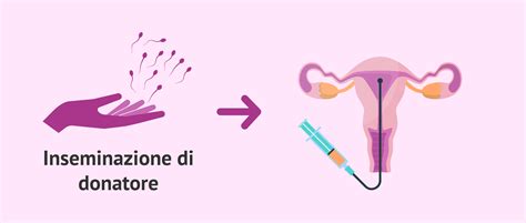 Immagine di un corso pratico di inseminazione artificiale
