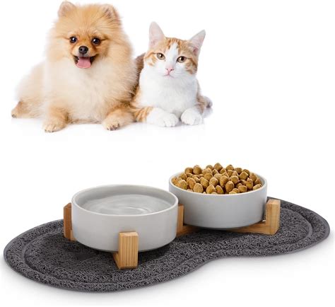 ciotole con cibo fresco per cani