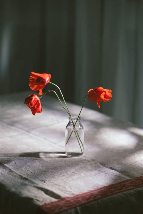 Fotografia artistica in stile ritrattistico