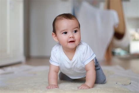 Bambino di circa sei mesi seduto e interessato al cibo