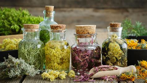 erbe officinali per digestione