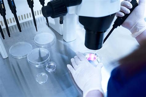 Microscopio in un laboratorio di fecondazione assistita