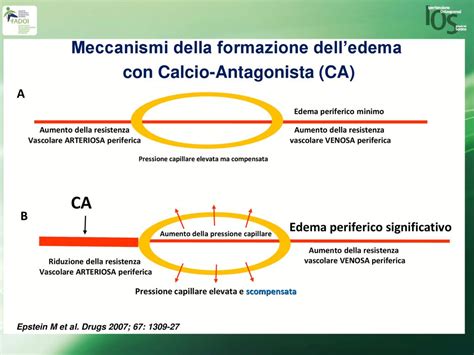 Illustrazione del meccanismo dell'acidosi ruminale e produzione di endotossine