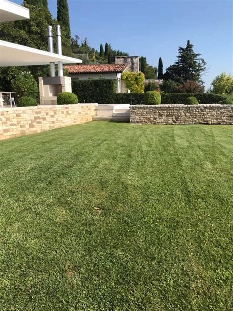 Prato verde ben curato in un giardino residenziale