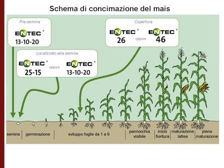 Schema di concimazione stagionale del prato