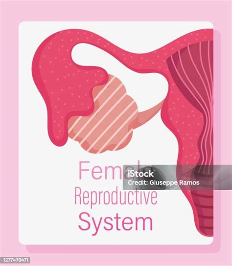 Impatto dei trattamenti sul sistema riproduttivo femminile