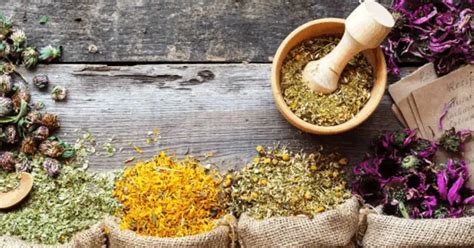 Piante medicinali per rimedi naturali