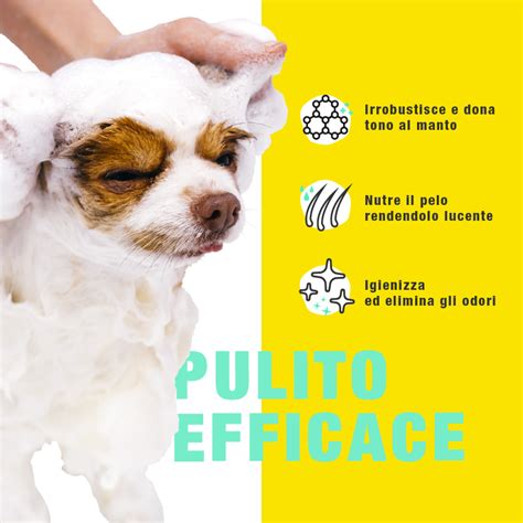 Massaggio con shampoo specifico per cani