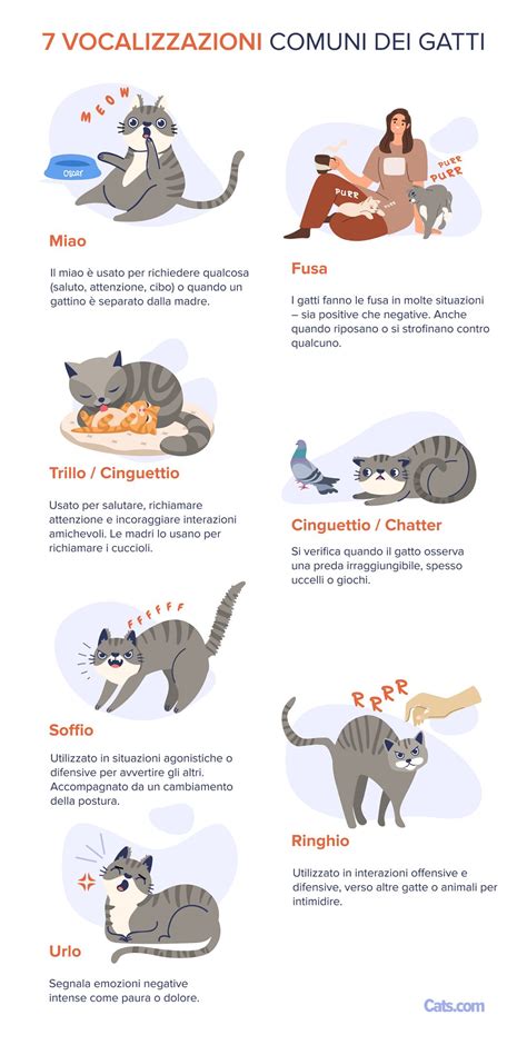 Tipi di vocalizzazioni feline