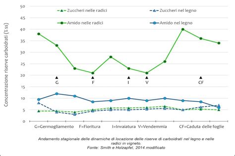 Grafico sulla capacità di assorbimento dei pannolini
