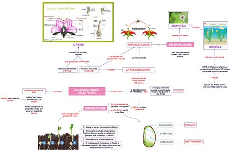 diagramma concettuale sulle implicazioni etiche della riproduzione post-mortem