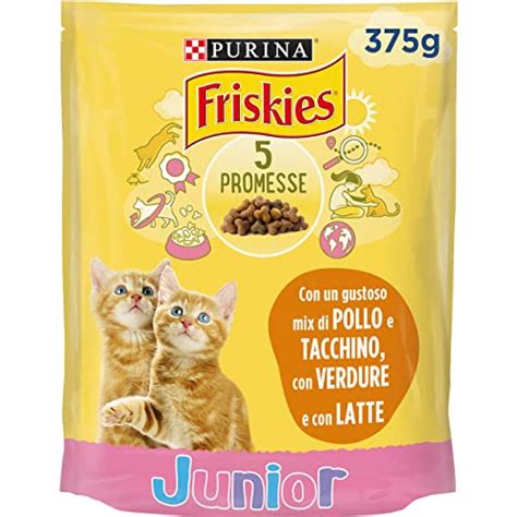 Cibo umido e crocchette per gattini