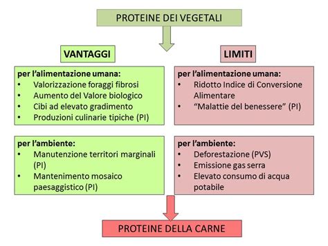 Diagramma Proteine Ottimizzate e HiMO