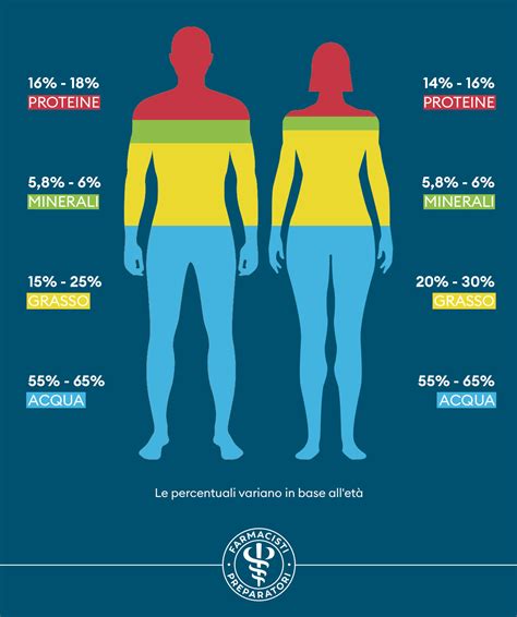 Infografica sulla composizione corporea in acqua