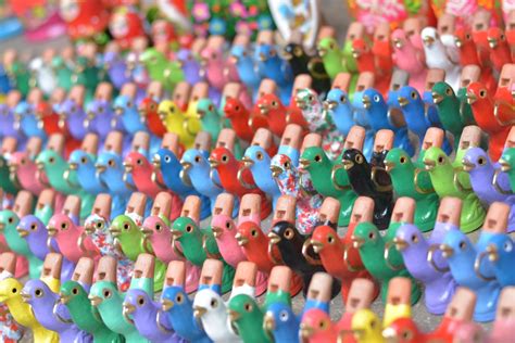 Serie di fischietti di varie forme e colori in una vetrina di negozio