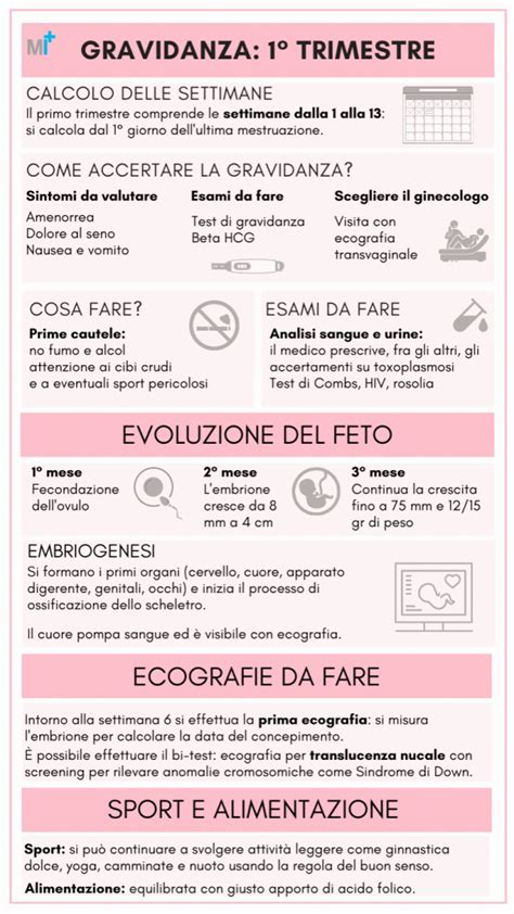 infografica che illustra le tappe del primo trimestre di gravidanza