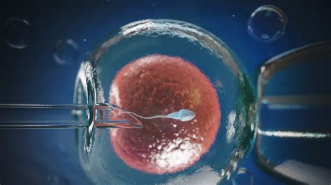 Donazione di gameti e riproduzione assistita