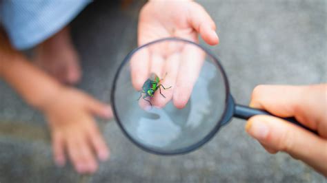 Scatole di farmaci e una lente d'ingrandimento