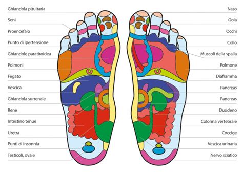 Mappa delle zone del corpo maschile comunemente depilate