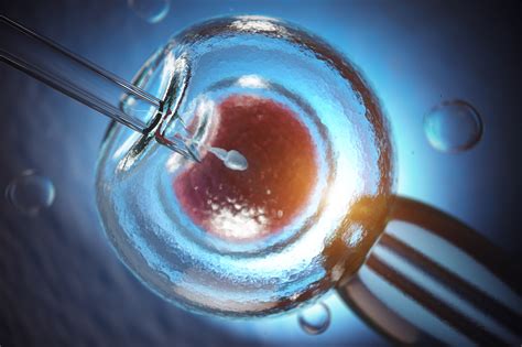 Microiniezione ICSI al microscopio