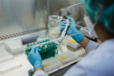 Embrioni crioconservati in laboratorio