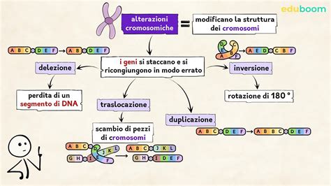 Diagramma che mostra il DNA e le mutazioni genetiche